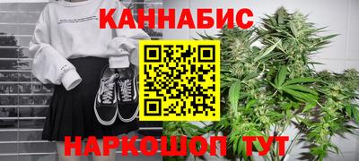 стафф Камышлов
