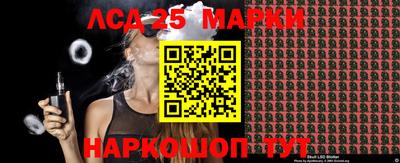 прущие грибы Кандалакша