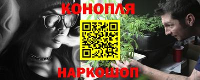 стафф Камышлов