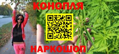 стафф Камышлов