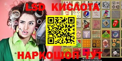 стафф Камышлов