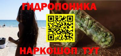 прущие грибы Кандалакша