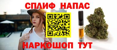 прущие грибы Кандалакша