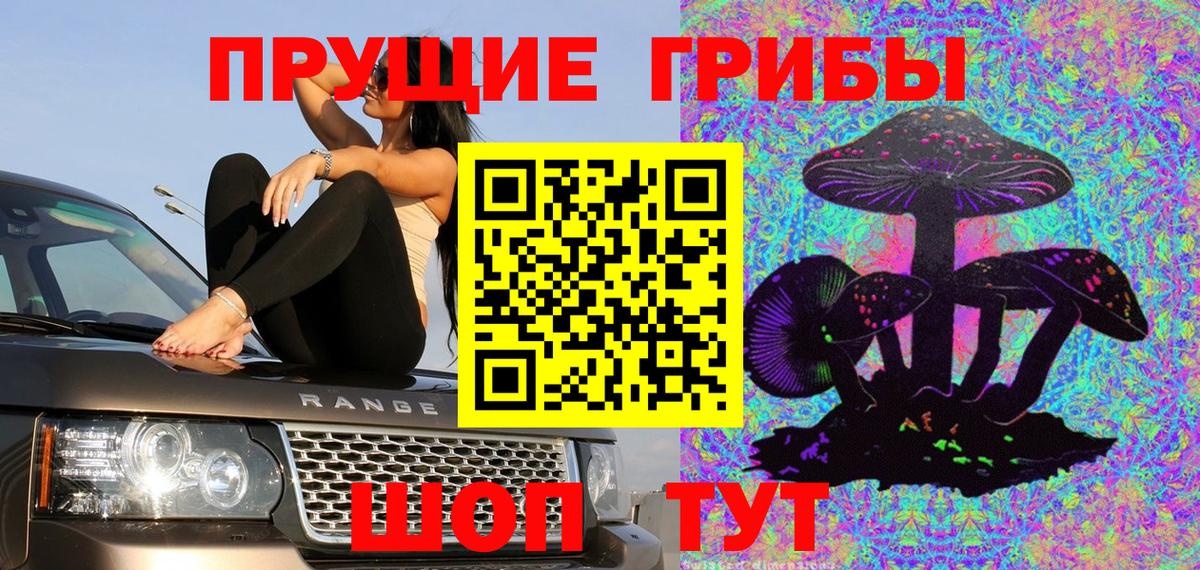 Галлюциногенные грибы Psilocybine cubensis Ленинск-Кузнецкий